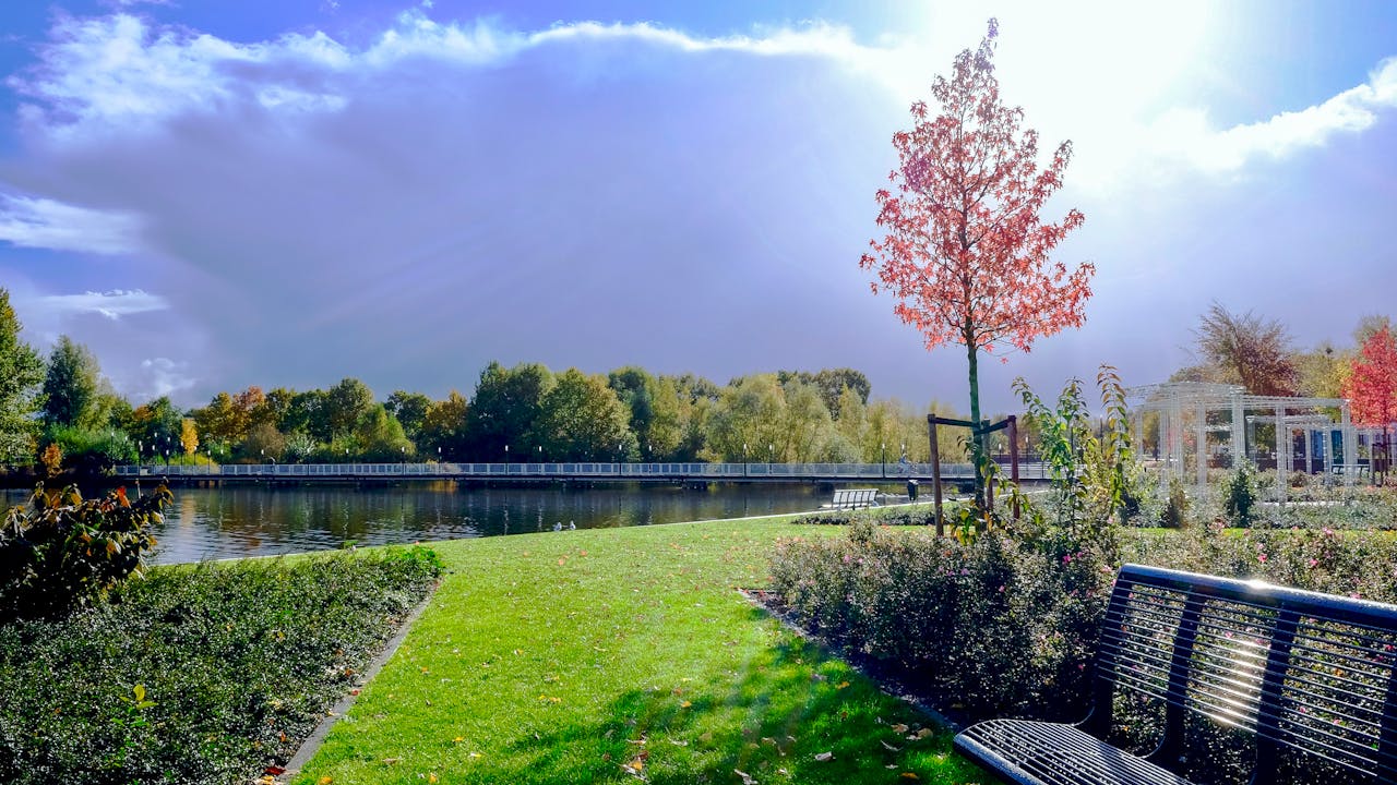 Beautiful sunny park scene featuring benches, a lake, and lush greenery under a bright sky.